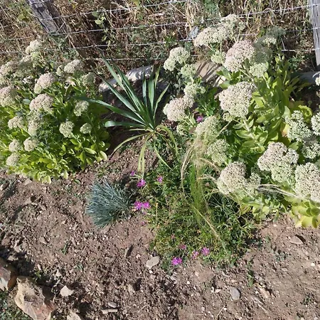 Сasa de vacaciones Chez Eugenie *