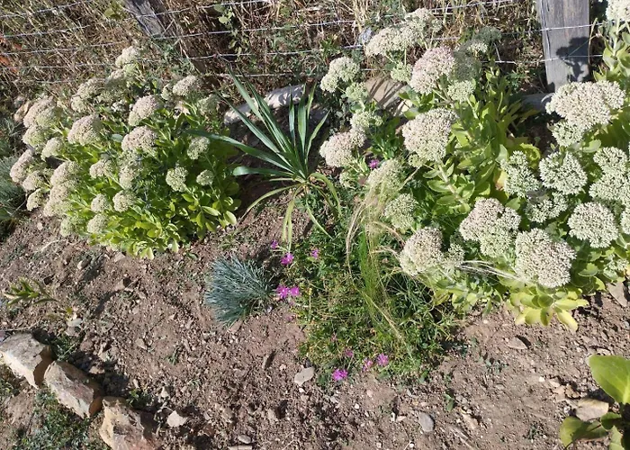 Semesterbostad Chez Eugenie *