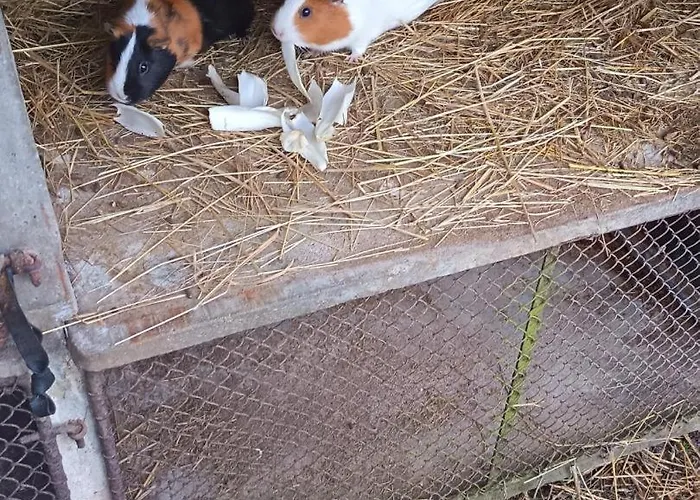 Chez Eugenie Casa vacanze