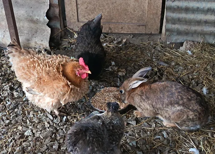 Casa vacanze Chez Eugenie Génis